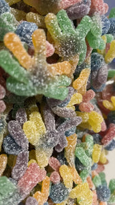Sour Octopus